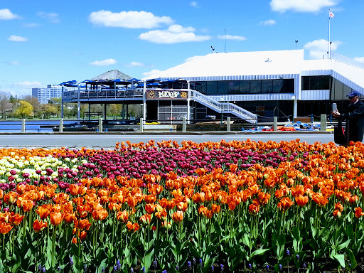 Dows Lake Pavilion